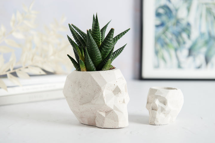 Geometric Skull Concrete Plant Pots