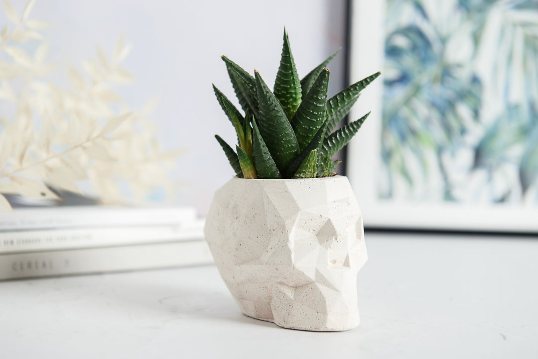 Geometric Planter Bundle