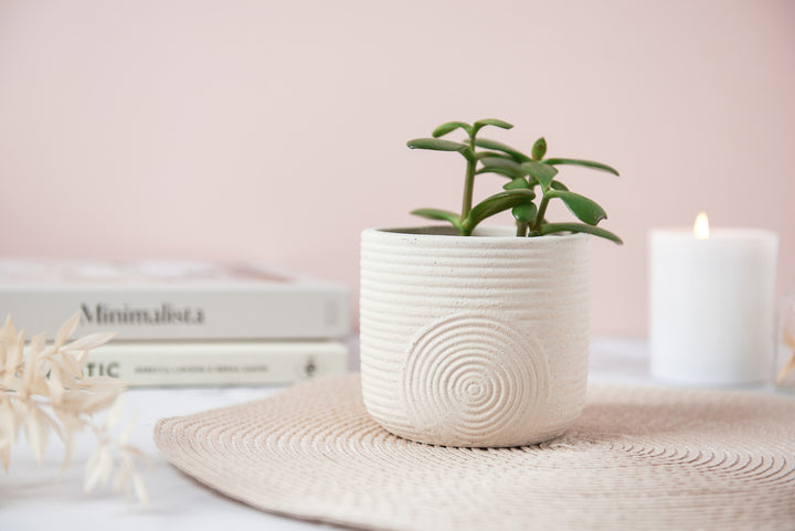 Zen Bundle